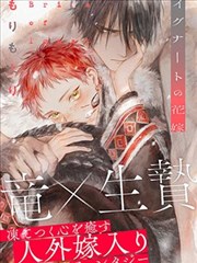 没落的贵族琉璃川全文完整版